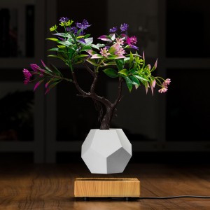magnetisk leviterende flydende bundluft bonsai potplanters PA-0708