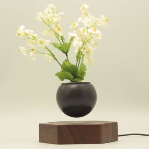 træmagnetisk opheftende flydende luft bonsai potteplanter PA-0720