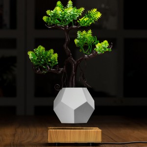 ny træbase magnetisk levitation bund flyte luft bonsai pot planter